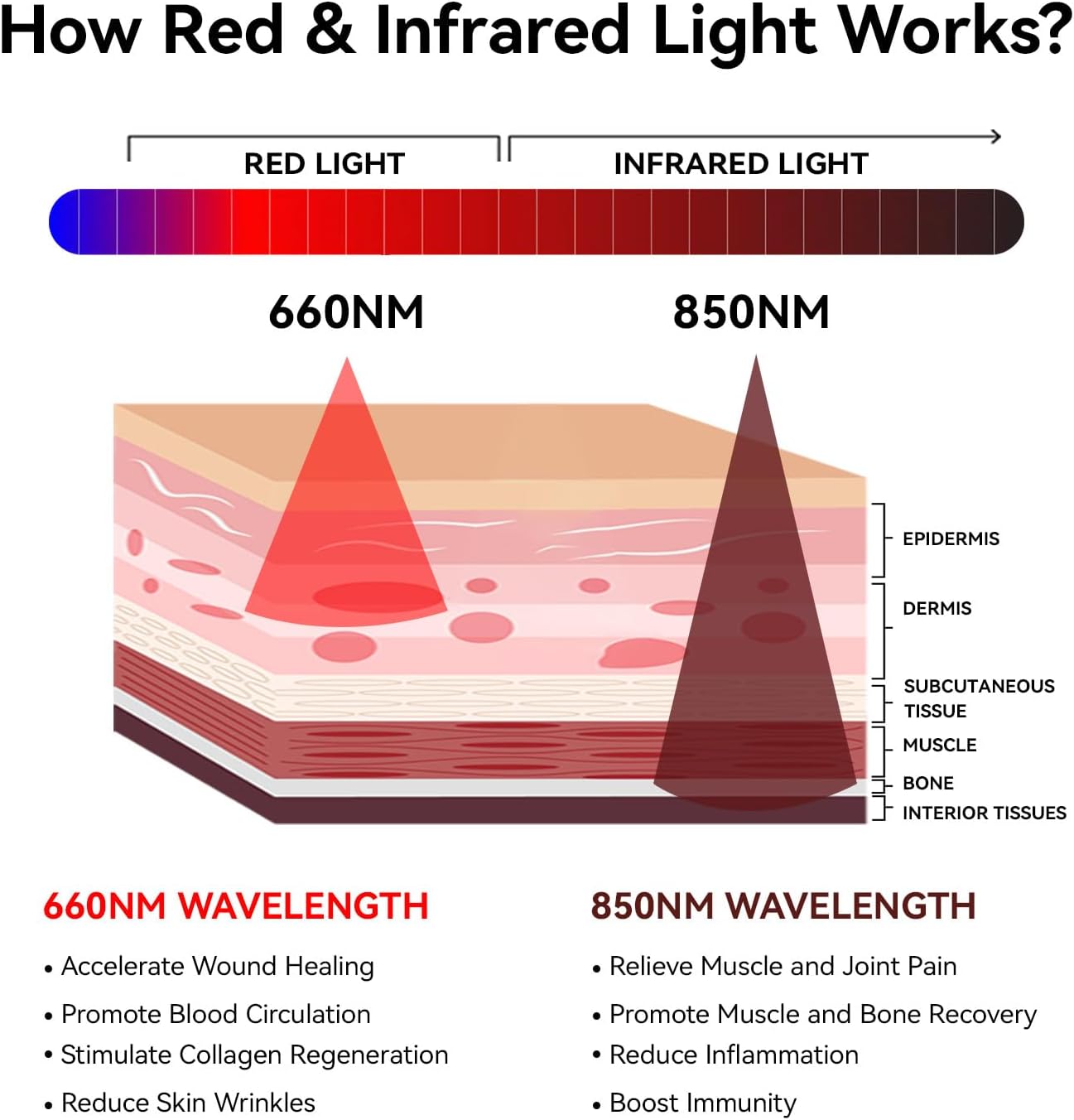 SpinovaTherapy+ FULL BODY RED LIGHT THERAPY MAT