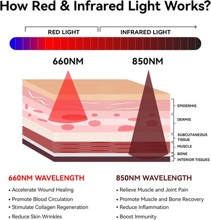 SpinovaTherapy+ FULL BODY RED LIGHT THERAPY MAT